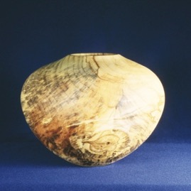 SpaltedBuckeyejpeg